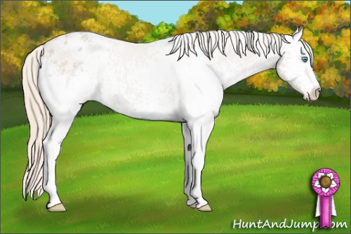Horse Color: White Spotted Smoky Creme Blanket 