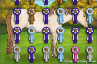 Horse Color:Bay Pearl Dun Sabino 