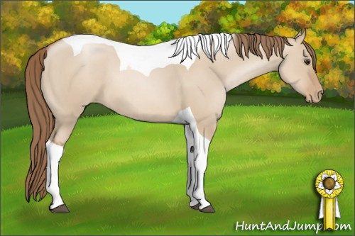 Horse Color: Grullo Pearl Tobiano 