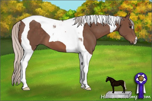 Horse Color: Silver Black Tobiano 
