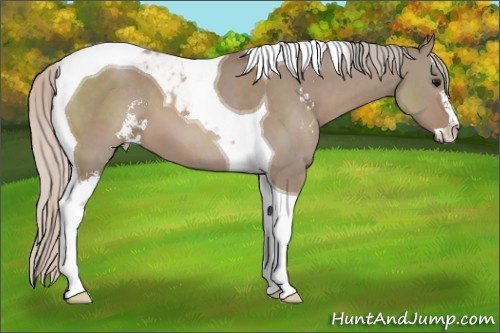 Horse Color: Silver Grullo Sabino Tobiano 