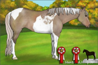 Horse Color:Silver Grullo Tobiano 