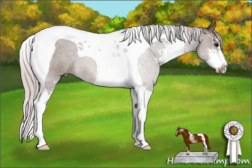 Horse Color: Silver Black Sabino Tobiano 