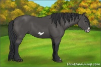 Horse Color:Black Frame 