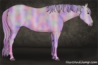 Horse Color:Nacre Watercolor Chestnut 