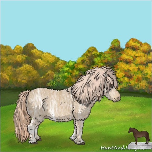 Horse Color: ERROR: UNKNOWN ANOMALY