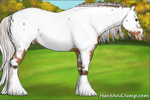 Horse Color: White Spotted Silver Bay Near Fewspot 