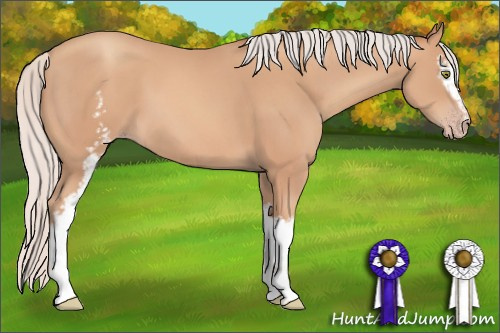 Horse Color: White Spotted Silver Amber Champagne 