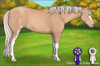 Horse Color:White Spotted Silver Amber Champagne