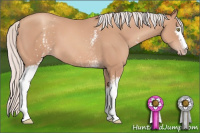 Horse Color:White Spotted Silver Amber Champagne