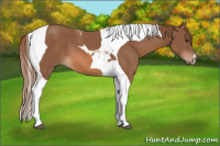 Horse Color:Chestnut Tobiano 