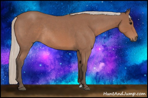 Horse Color: Silver Blue Roan Sabino Rabicano 