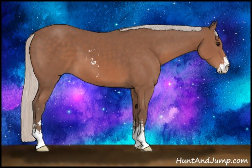 Horse Color: Silver Black Sabino 