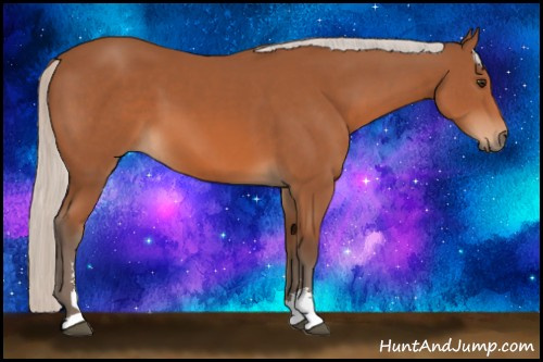 Horse Color: Silver Bay Sabino 