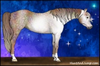 Horse Color:Gray Nacre Chestnut