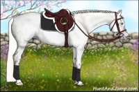 Horse Color:Gray Silver Amber Cream Champagne Roan Dun Splash Tobiano Frame Near Leopard Rabicano 