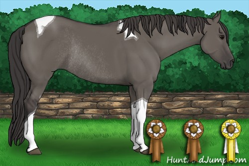 Horse Color: Smoky Grullo Tobiano Rabicano 