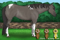 Horse Color:Smoky Grullo Tobiano Rabicano 