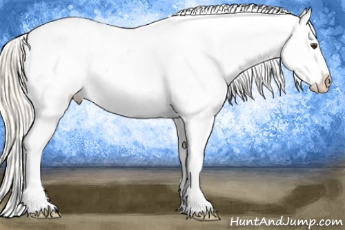 Horse Color: Palomino Roan Blanket 
