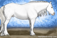 Horse Color:Palomino Roan Appaloosa 