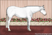 Horse Color:Buckskin Roan Tobiano Frame Snowcap 