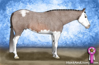 Horse Color:Bay Roan Splash Appaloosa