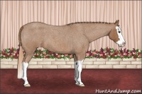 Horse Color:Red Roan Splash Varnish 