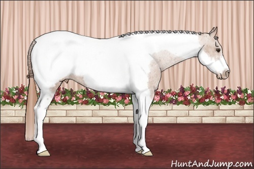 Horse Color: Chestnut Tobiano Frame Snowcap 