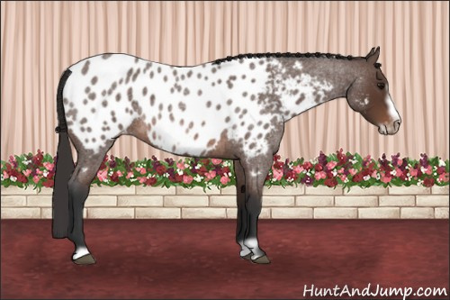 Horse Color: Brown Roan Frame Blanket 