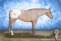 Horse Color:Bay Roan Snowcap 
