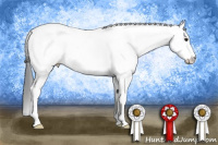 Horse Color:White Spotted Bay Tobiano Snowcap