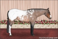 Horse Color:Bay Roan Snowcap Rabicano 