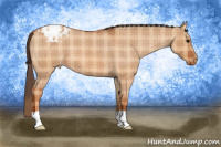 Horse Color:Plaid  Bay Roan Dun Blanket 