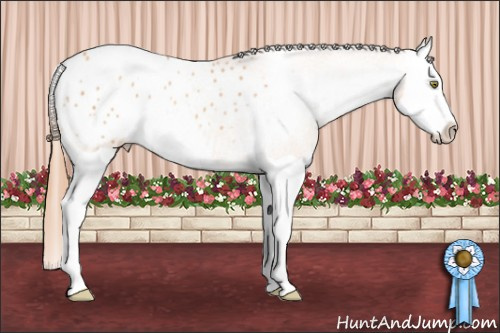 Horse Color: Gold Champagne Splash Blanket 