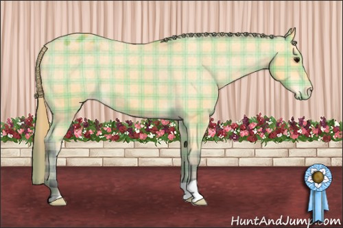 Horse Color: Plaid  Buckskin Varnish 