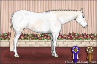 Horse Color:Red Dun Splash Tobiano Snowcap 
