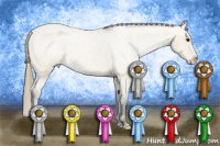Horse Color:Buckskin Roan Varnish 
