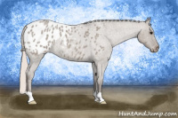 Horse Color:Silver Brown Roan Dun Appaloosa 