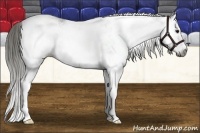 Horse Color:Gray White Spotted Smoky Black Splash Varnish 