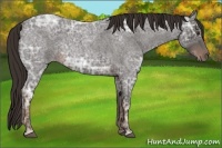 Horse Color:Liver Red Ice Roan 