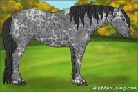 Horse Color:Black Ice 