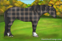 Horse Color:Plaid  Brown 