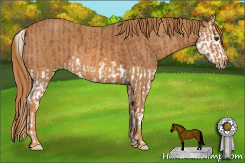 Horse Color: Chestnut Splash  Brindle