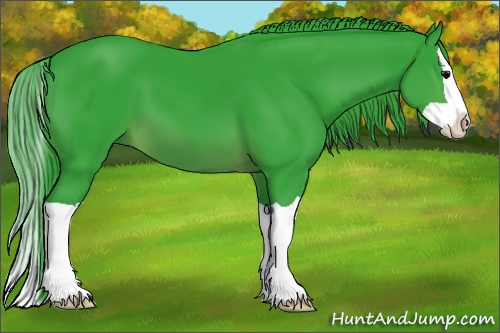 Horse Color: Watercolor Brown Splash 