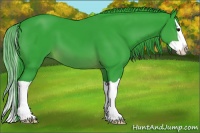 Horse Color:Watercolor Brown Splash 