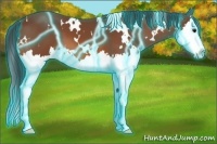 Horse Color:Thunderstruck White Spotted Bay Splash 
