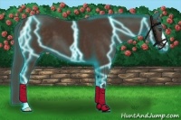 Horse Color:Thunderstruck Liver Chestnut 
