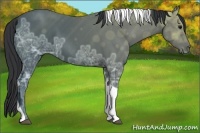 Horse Color:Black Ice Tobiano 