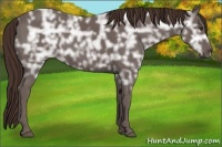 Horse Color:Liver Chestnut Ice 