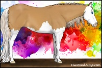 Horse Color:Palomino Sabino Splash 